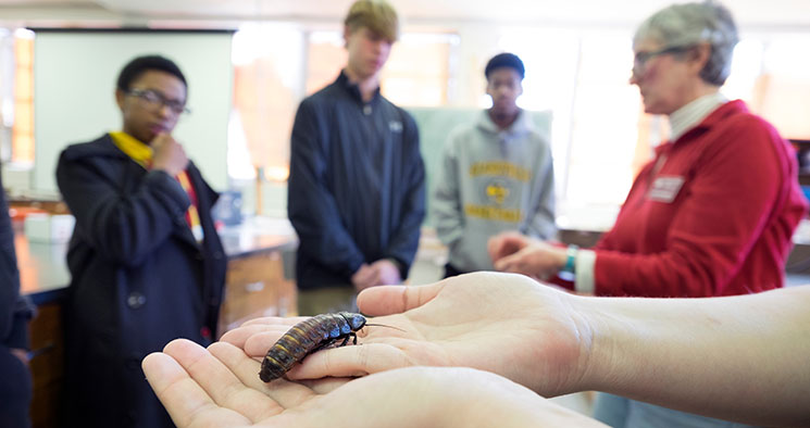 MSU Arthropod Zoo